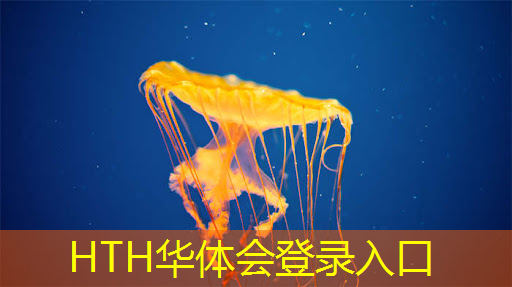 华体会·hth体育：收集蚂蚁小程序的游戏