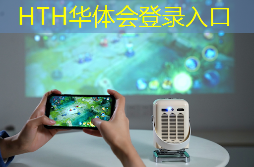 HTH华体会登录入口：模拟保镖小程序叫什么游戏