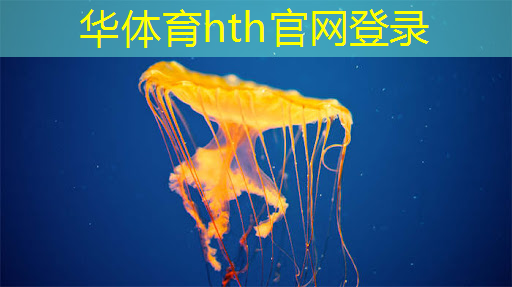 如何观看中国电子青年电竞大赛的直播？